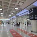 331 | [일본 오사카] 제주-오사카 간사이 비행 티웨이 TW331 탑승 후기(명당 좌석 따로 있어요)