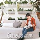 대신조경 이미지