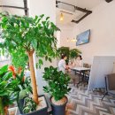 카페앨리스 이미지