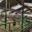 송아목장 이미지