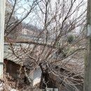 청은유치원 이미지