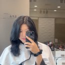 토니앤가이 반포자이점 | 반포역 미용실 토니앤가이 반포자이점 망한 히피펌 모발클리닉 및 커트 후기