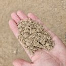 당진농협주유소 이미지