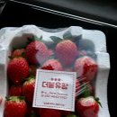 더블유팜