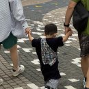 하비함미 이미지