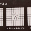 리안경