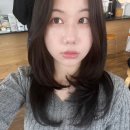 미장초등학교 정문(고고헤어앞) | 대구 달성공원역 | 어씨스헤어 레이어드컷 C컬펌 미용실 추천 | 길찾기. 시술 후기