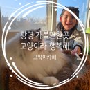 고양이라서 행복해 | 광명 고양이카페 : 고양이라서 행복해 아이와함께 후기 내돈내산