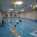 피노호텔(키즈) 이미지