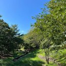 용두산산림욕장 네이버블로그