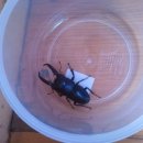 테라롯지 이미지