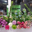 한주농장 이미지