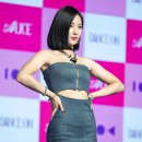 앨리스(Alice) - 진천군 | 앨리스(Alice)