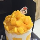 스케쳐스롯데대전 이미지