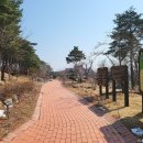 울산인공암벽센터(주말,하절기) | [강원도 속초시] 노리숲길
