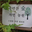 율림석수 이미지