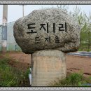 도지초교 이미지