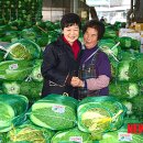 노은농수산물도매시장 이미지