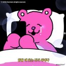 안주환 | 가성비 ㅆㅎㅌㅊ의 삶