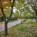 감삼못공원 이미지