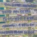 와보랑께박물관 이미지