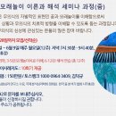 꿈 모래놀이 이론과 해석 세미나(줌)_2025년 가을 이미지