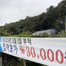 신수 낚시터 이미지
