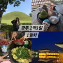 지에스(GS)25 농성대남점 | [경주 2박3일](1) 반하다경북3UP이벤트로 KTX 반값에 타기, 투어054 이벤트 로그인 오류 해결, 신라제면...