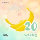 물고기배속에과일 | [임신일기] 20주~23주차(6개월차) 태동시작, 역류성식도염, 중기정밀초음파, 성별확인, 타이니모빌 당근...
