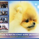 SPACE POME(스페이스폼) 이미지