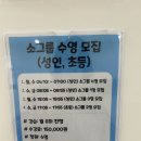 제주살이 여자가 체험한 표선면 문화·체육복합센터 직접 가본 솔직 후기!