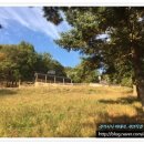 태화목장 이미지