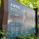 오금근린공원 놀이터 네이버블로그