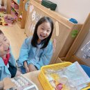 새들약국 이미지