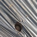 의총농장 이미지