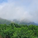 앞섬마을 이미지