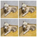 이편한용치과의원 이미지