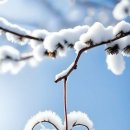 동네카센타 이미지