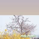 NEWGYM 이미지