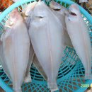 남항횟집 이미지