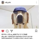 멍스타그램 이미지