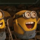 파트너펫 이미지