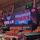 [핫페퍼스8기] 240206 GS칼텍스전 직관후기 (feat. 홀리데이인 광주호텔 후기 )