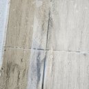 도램마을11단지앞 이미지