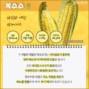 옥수수&감자, 여름철국민간식 영양성분분석비교~ 이미지