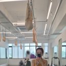 플라잉독 | 구로요가 리오나 요가&필라테스 구로점 ♩ 빈야사 하타 플라잉요가 수업 받아본 후기