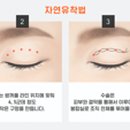 쌍수인