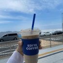 망고&체리 애견샵 이미지