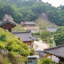 석장 Daum카페