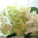 국제시장번영회 이미지